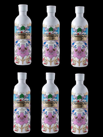 Cherrapunji Berry Gin pack of 6