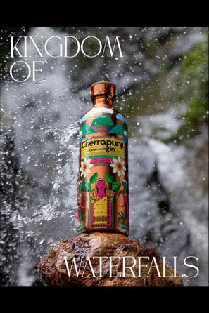 Cherrapunji Eastern Craft Gin - Sustainable Stainless Steel Bottle - Zarf Spirits Switzerland